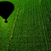 02957 balloonoveracornfield 1280x1024