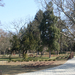 Szombathely Arboretum 005