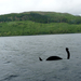 Loch Ness és a szörny