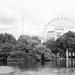 London St.James Park London Eye