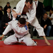 Judo OBII 20121124 080