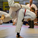 Judo MEFOB 20121125 132