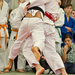 Judo OBII 20121124 132