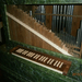 300 éves orgona-Torvaj
