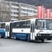 ikarus