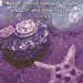 a013030-egyh tengeri kagyló és csillag