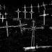 A pusztinai temető, Süli István, 2009, A fény és árnyék kettőssé