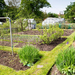 well-tended-allotment-garden-in-springtime-a-plot-of-land-for-fa