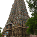 Mínáksí-templom, Madurai