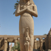 Egyiptom 2009 Marcius 158