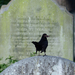 Élet és halál a Brompton temetőben
