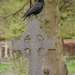 Gótikus klisék a Brompton temetőből