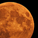 Felkelt a szuper Hold nagyban 2015.09.27.
