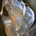 A kerti holdviola (Lunaria annua)