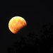 Részleges holdfogyatkozás 2017. augusztus 7-én Eclipse