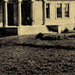 1940 Gyömrő; Községháza. Főbírói hivatal az országzászlóval. Tóf