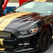 Ford Mustang GT Hertz Edition 2016