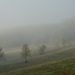 November ködös reggel