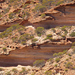 Kalbarri National Park - The Loop 048.jpg átm