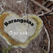 Barangolas (Trail alk)