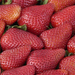 Californian strawberry