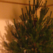 Karácsonyfa (2)