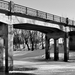 Hortobágy-Berettyó - Túrkeddi híd 082