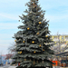 Szolnok - A város karácsonyfája 052