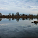 Erkel-tó - Gyula 239