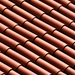 Portuguese Roof Tile Abstract