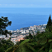 Madeira 2023 2889 00001