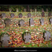 2012.11.02. Hősi temetőben (6)