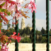 Jerusalem by kimaira