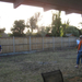 backyard cricket2