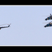 MI-24, MI-8