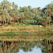 Földművesek a Nílus partján