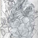 Flowers-Sketch-(Small)