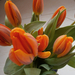 narancs tulipán csokor