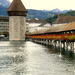 Svájc 2013 Luzerni hattyúk