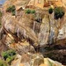 Sigiriya