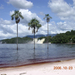 386 Canaima