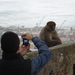 Gibraltár - Európában csak itt a sziklán élnek vadon majmok