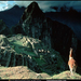 machu-picchu-llama-52408-sw (Medium)