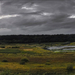 Hobro Dánia természet táj panorama