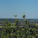 Zalaszentgrót panorama3 [1600x1200]