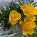 dobócsokor-3 szál sárga rózsa