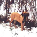 Amparo 2001 télen
