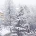 Bergamoi hóesés (régi kép)