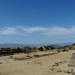 Monte Alban 1