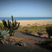 Fuerteventura landscape